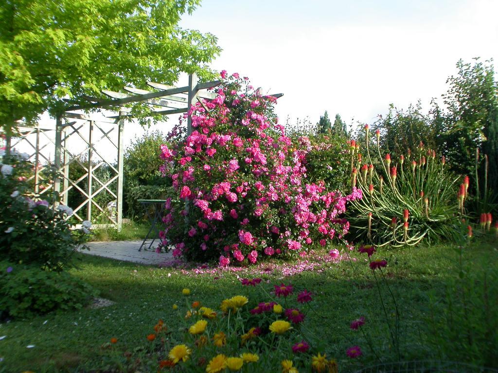 Mérignac Chambres D'Hotes L'En Haut Des Vignes מראה חיצוני תמונה